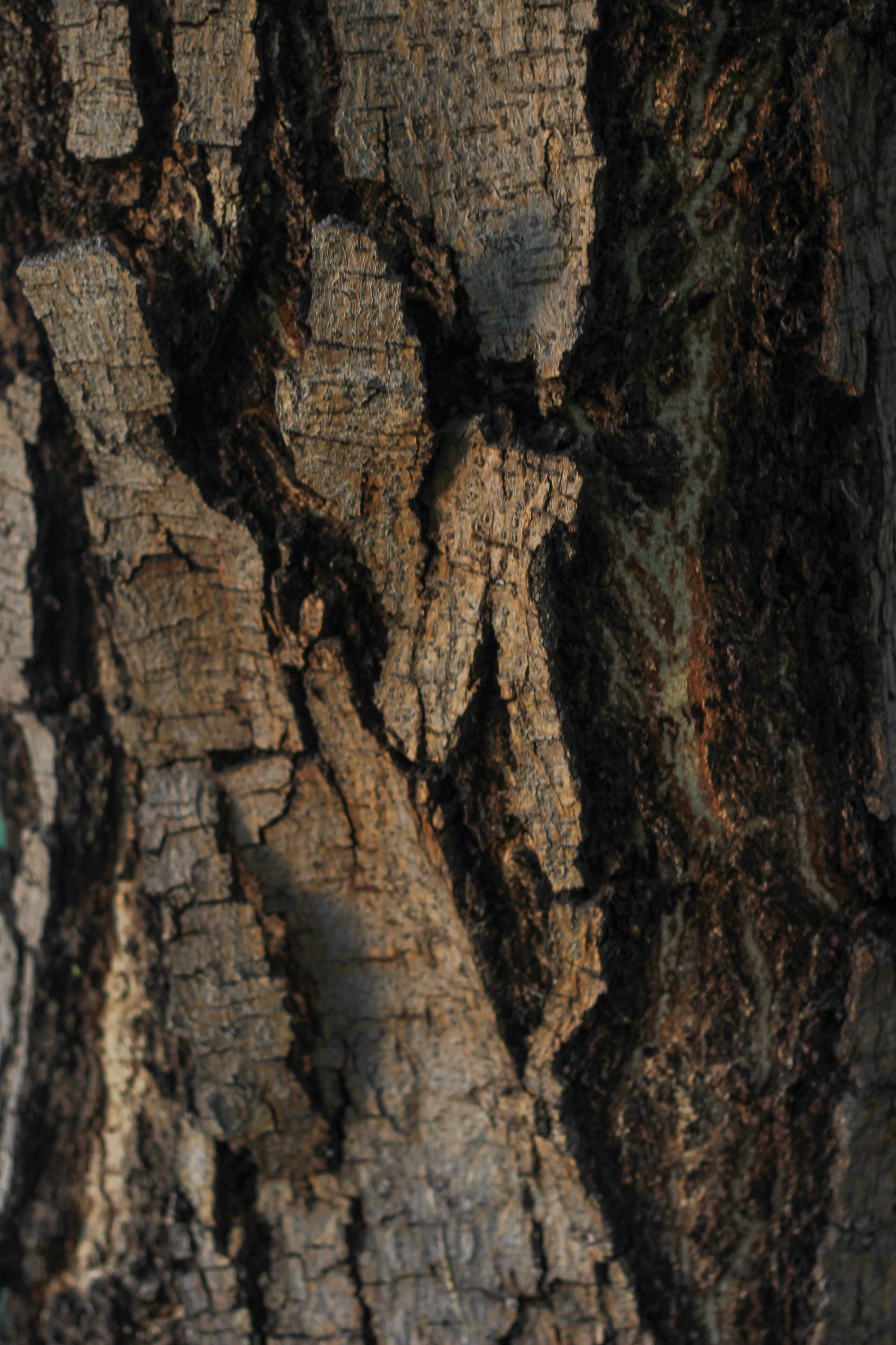 Photo by shamsingaround