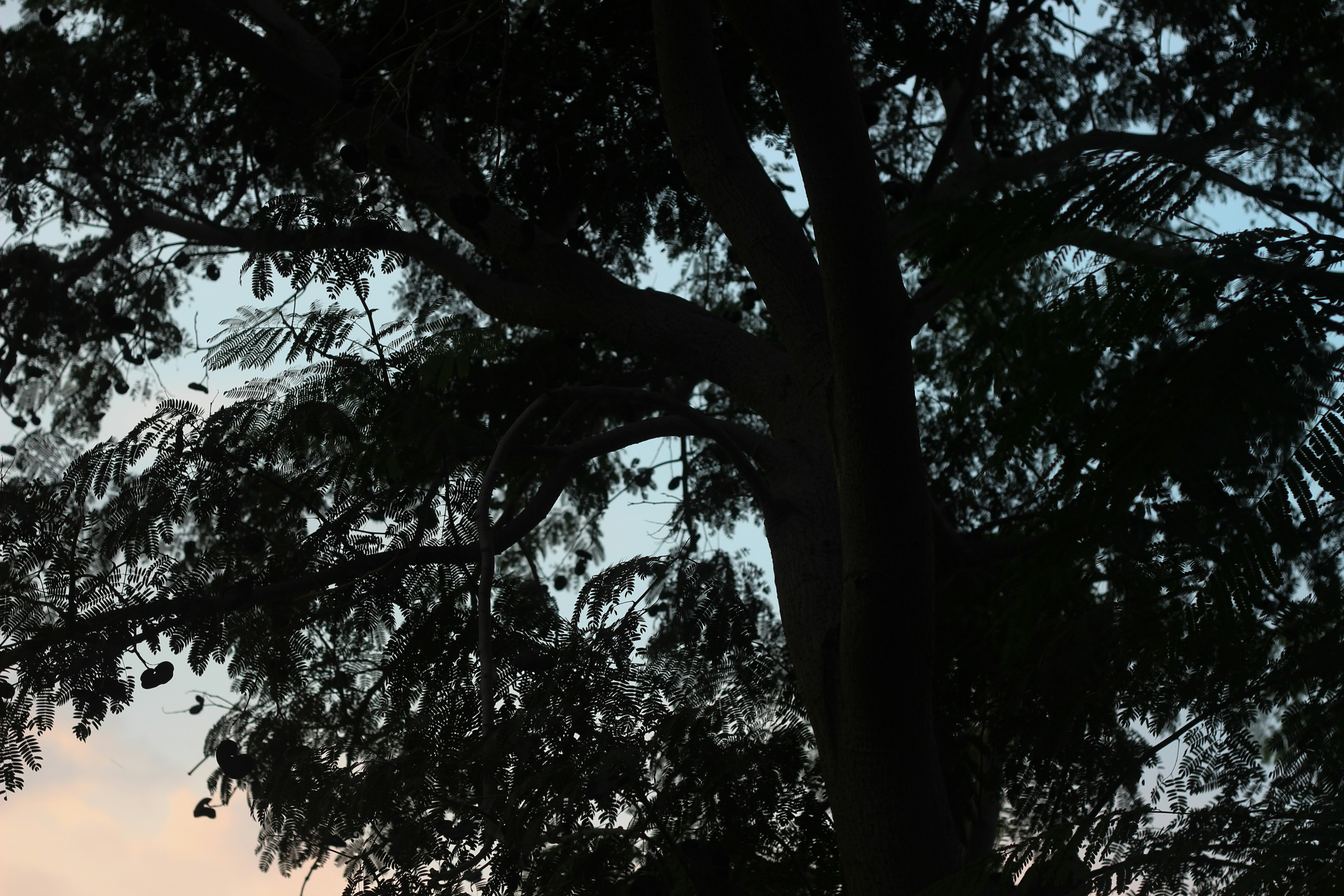 Photo by shamsingaround