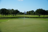 A golf course with a putting green in the foreground, marked by a flag pole featuring a blue and white checkered flag. A lush expanse of green grass and a series of trees line the field, with a clear blue sky overhead.