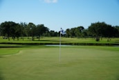 A golf course with a putting green in the foreground, marked by a flag pole featuring a blue and white checkered flag. A lush expanse of green grass and a series of trees line the field, with a clear blue sky overhead.