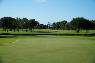 A golf course with a putting green in the foreground, marked by a flag pole featuring a blue and white checkered flag. A lush expanse of green grass and a series of trees line the field, with a clear blue sky overhead.