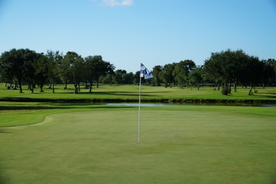 A golf course with a putting green in the foreground, marked by a flag pole featuring a blue and white checkered flag. A lush expanse of green grass and a series of trees line the field, with a clear blue sky overhead.