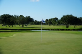 A golf course with a putting green in the foreground, marked by a flag pole featuring a blue and white checkered flag. A lush expanse of green grass and a series of trees line the field, with a clear blue sky overhead.