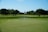 A golf course with a putting green in the foreground, marked by a flag pole featuring a blue and white checkered flag. A lush expanse of green grass and a series of trees line the field, with a clear blue sky overhead.