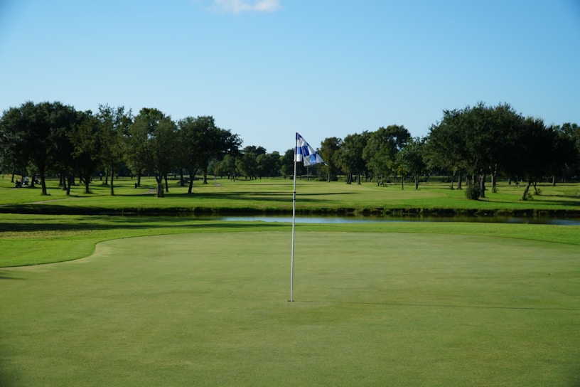 A golf course with a putting green in the foreground, marked by a flag pole featuring a blue and white checkered flag. A lush expanse of green grass and a series of trees line the field, with a clear blue sky overhead.