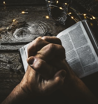 person holding book page with string lights