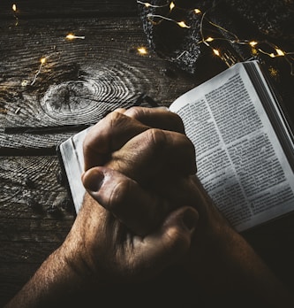 person holding book page with string lights