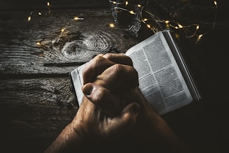 person holding book page with string lights