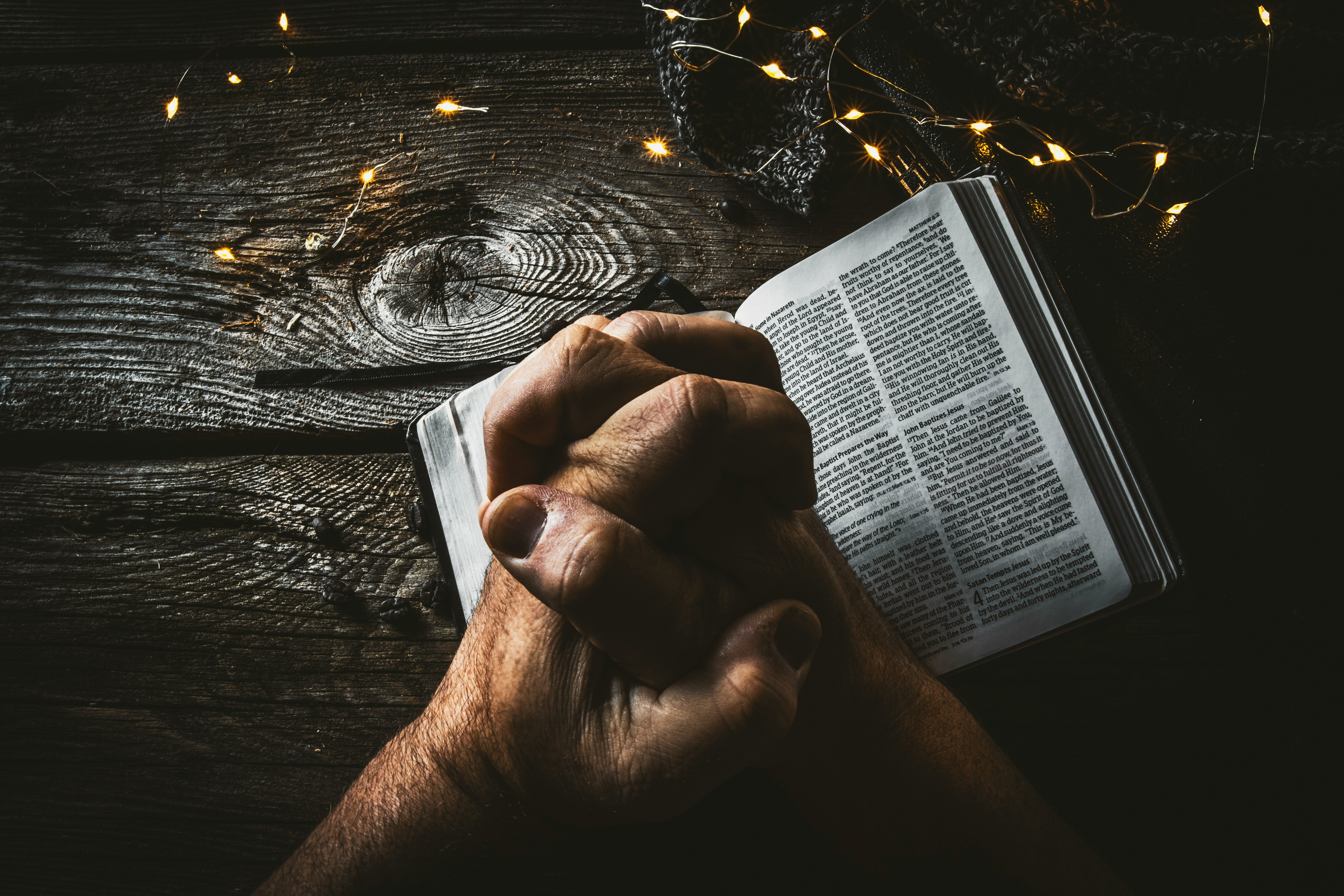 person holding book page with string lights