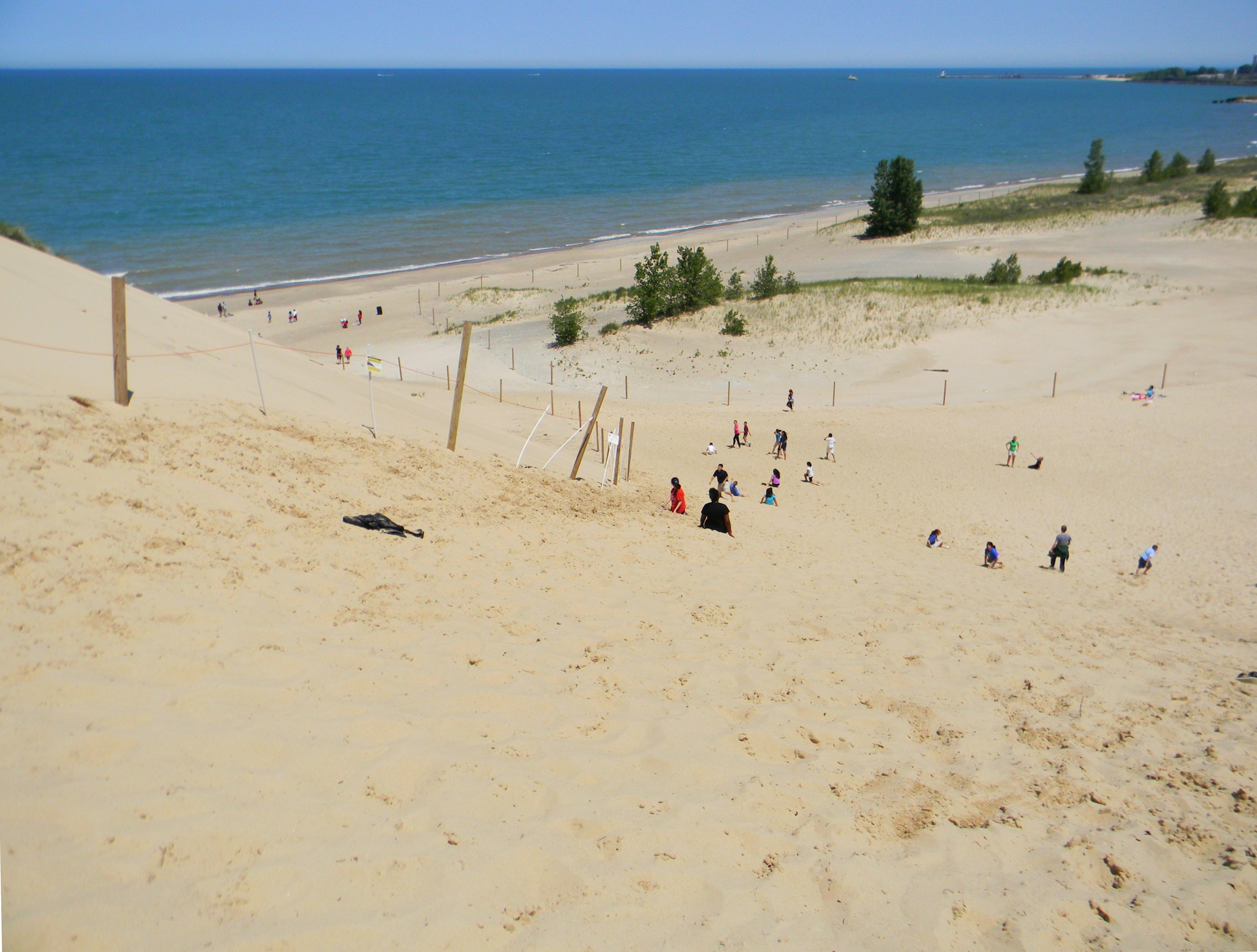 people on beach during daytime