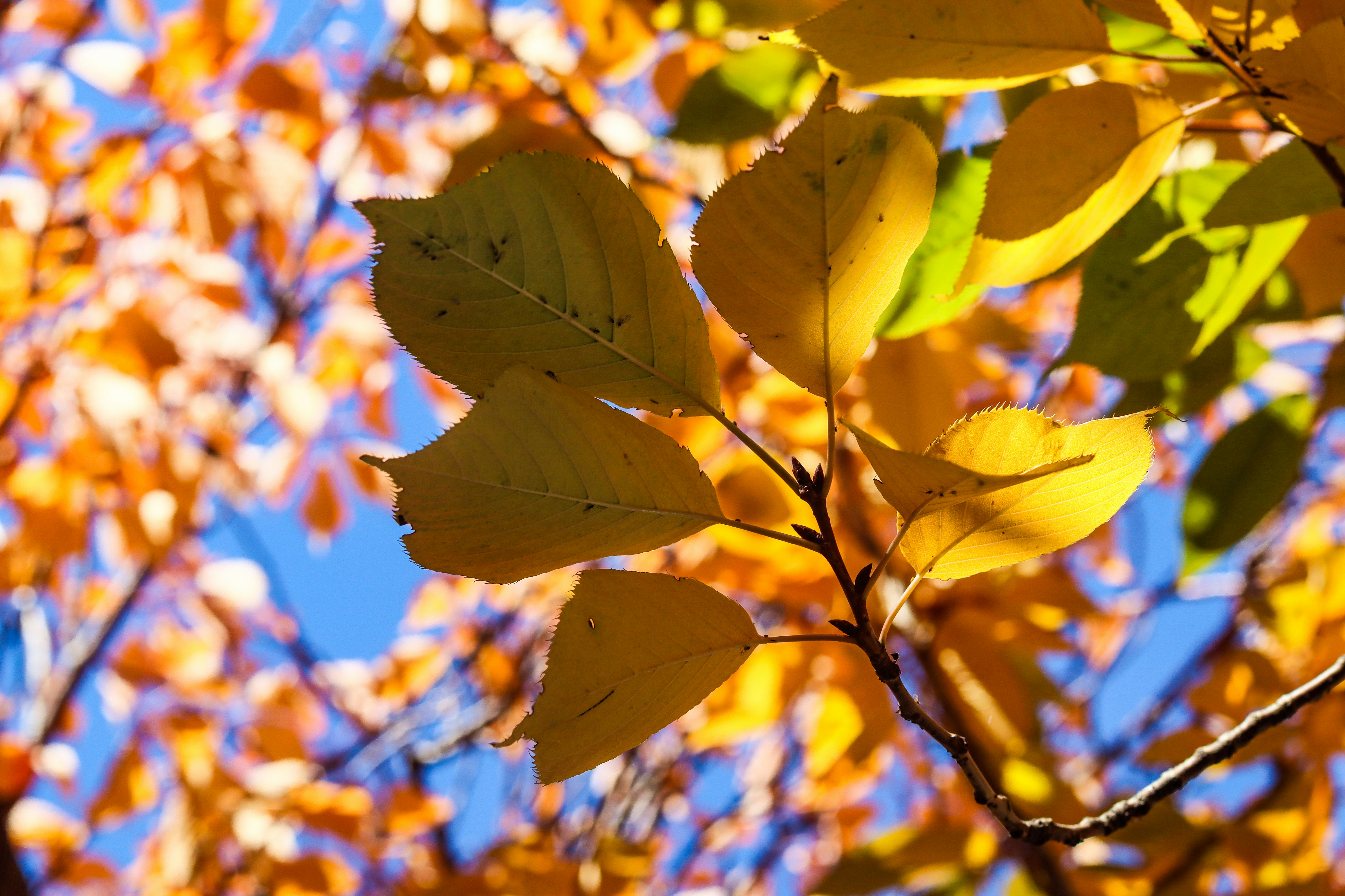 Photo by shewalksonwater