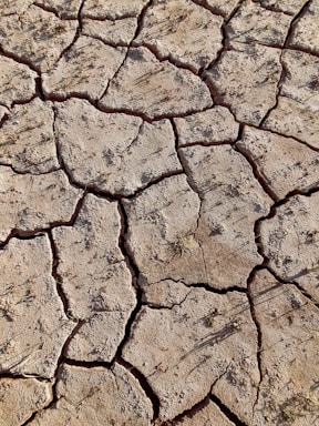 Dry and cracked earth with large, irregular fissures creating a textured surface. Sparse vegetation can be observed with occasional tufts of grass struggling to grow between the cracks.
