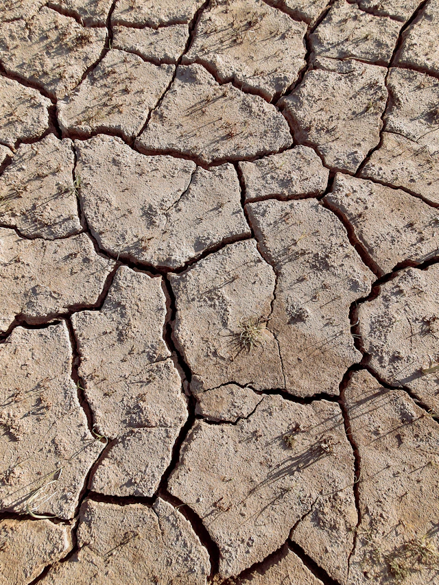 Pale, dry cracked soil typical of agricultural land needing lime treatment