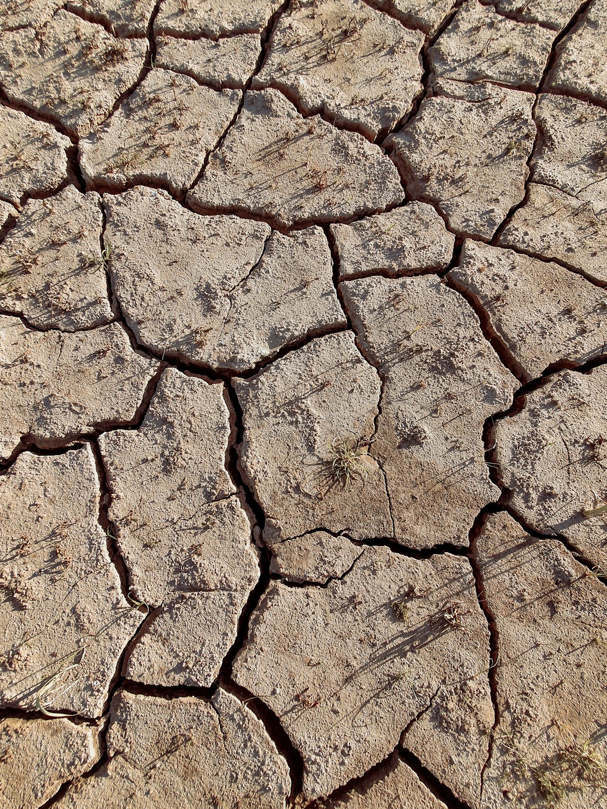 Un'emergenza climatica chiamata siccità