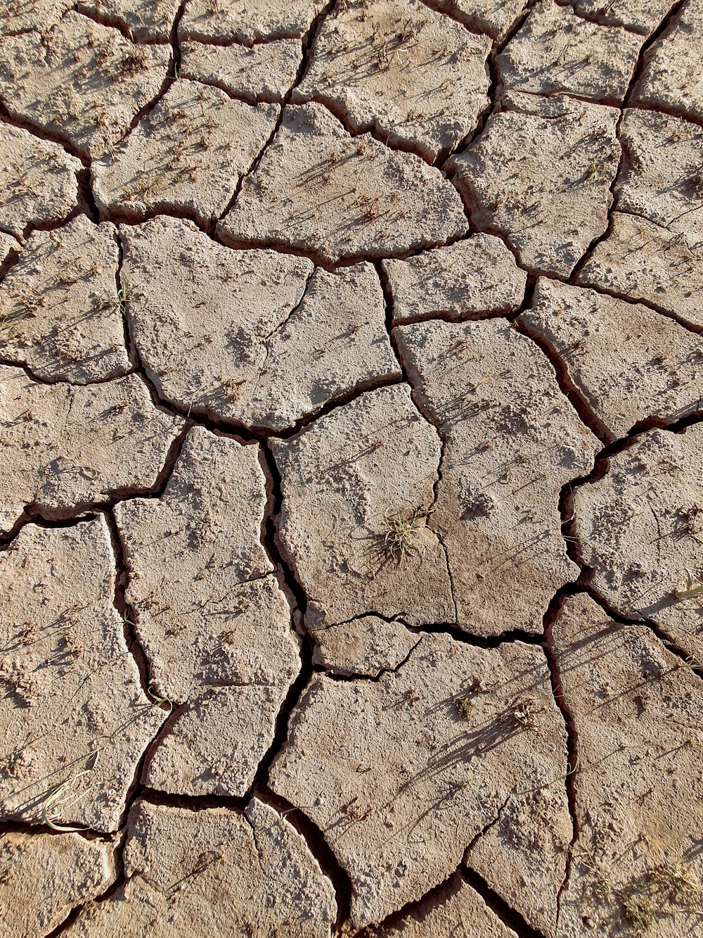 terreno di terra marrone e bianca