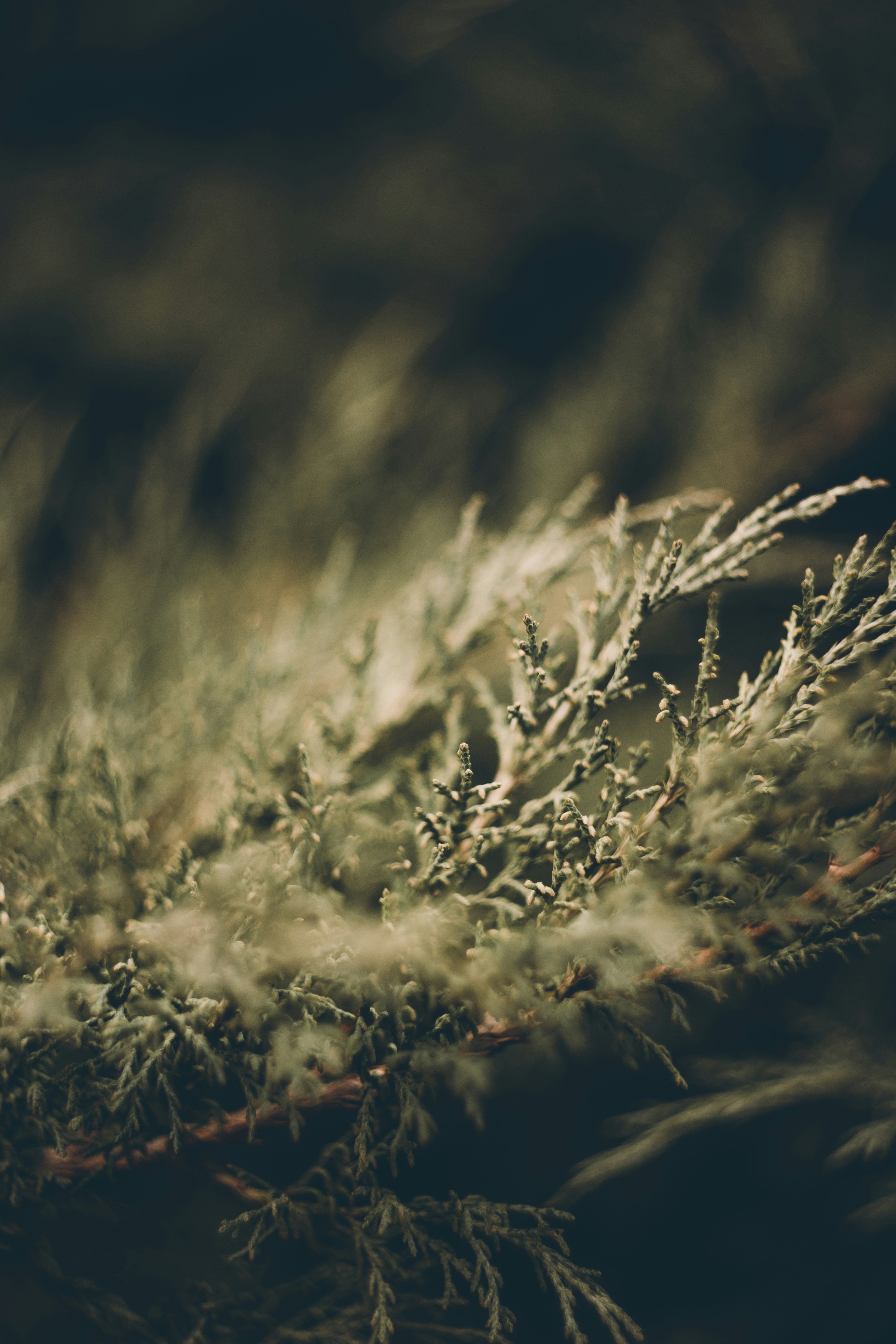 Photo by tobolenkoph