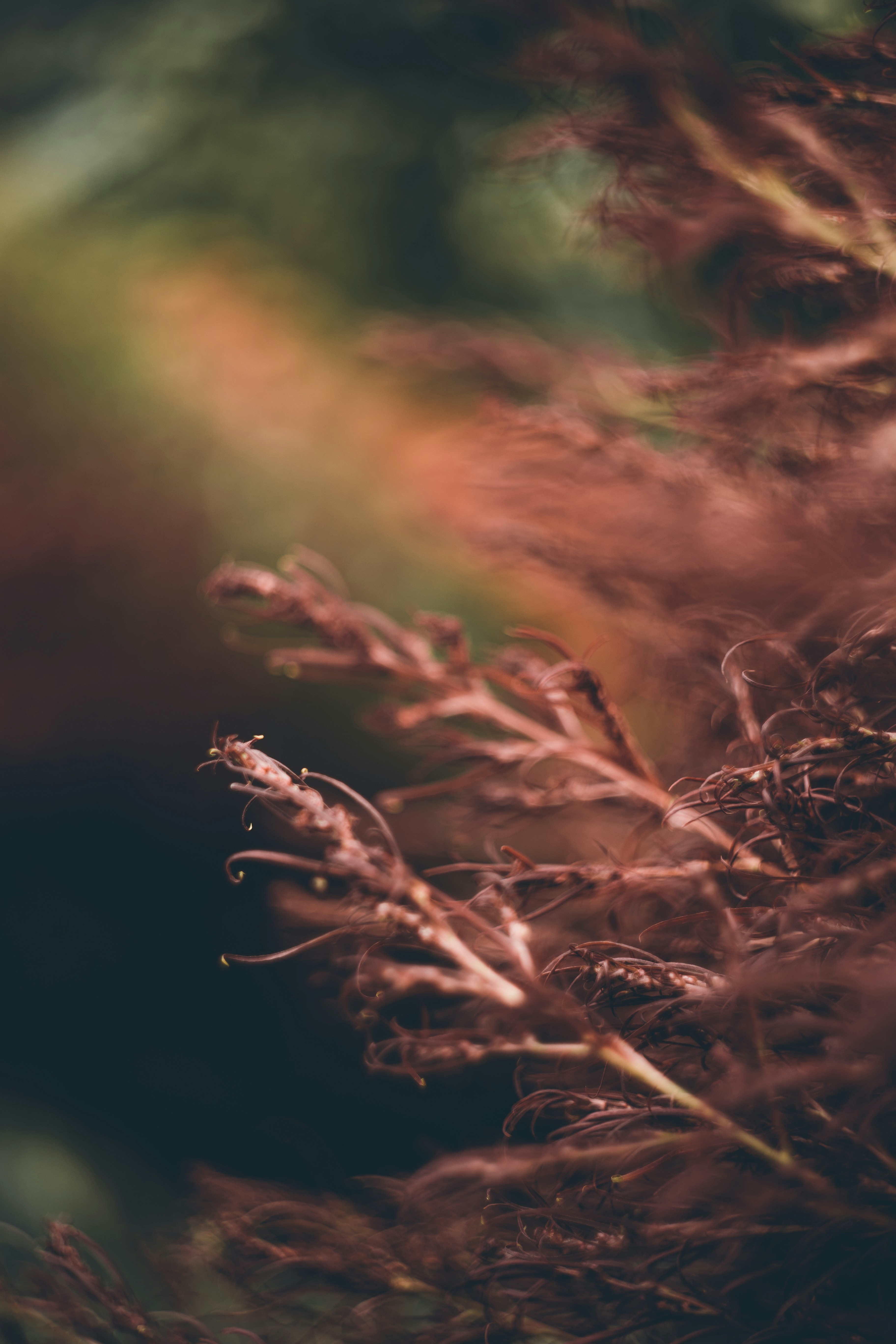 Photo by tobolenkoph