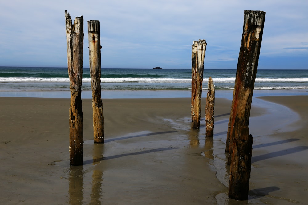 brown wooden post on beach during daytime