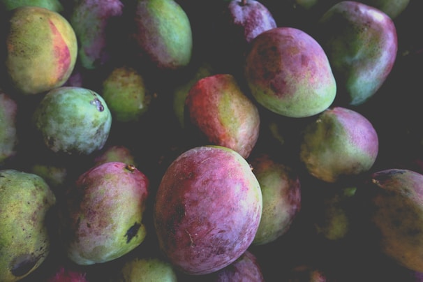 A colorful assortment of ripe mangoes arranged artfully to highlight their rich hues.