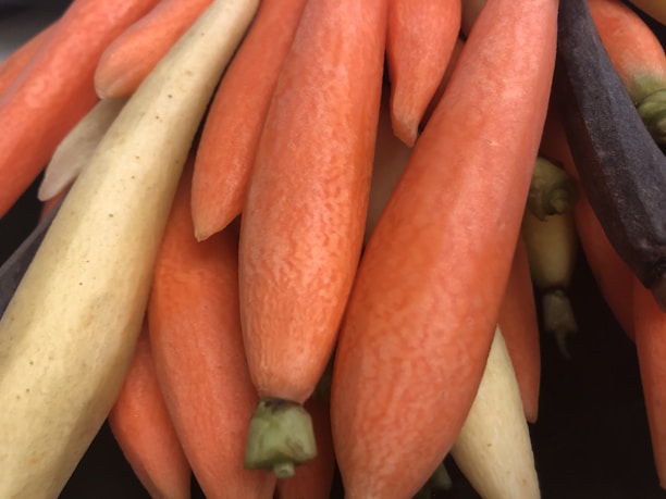 A close-up view of several baby carrots in a variety of colors, including orange, cream, and dark purple. The carrots are tightly clustered together, with some of the green tops visible.