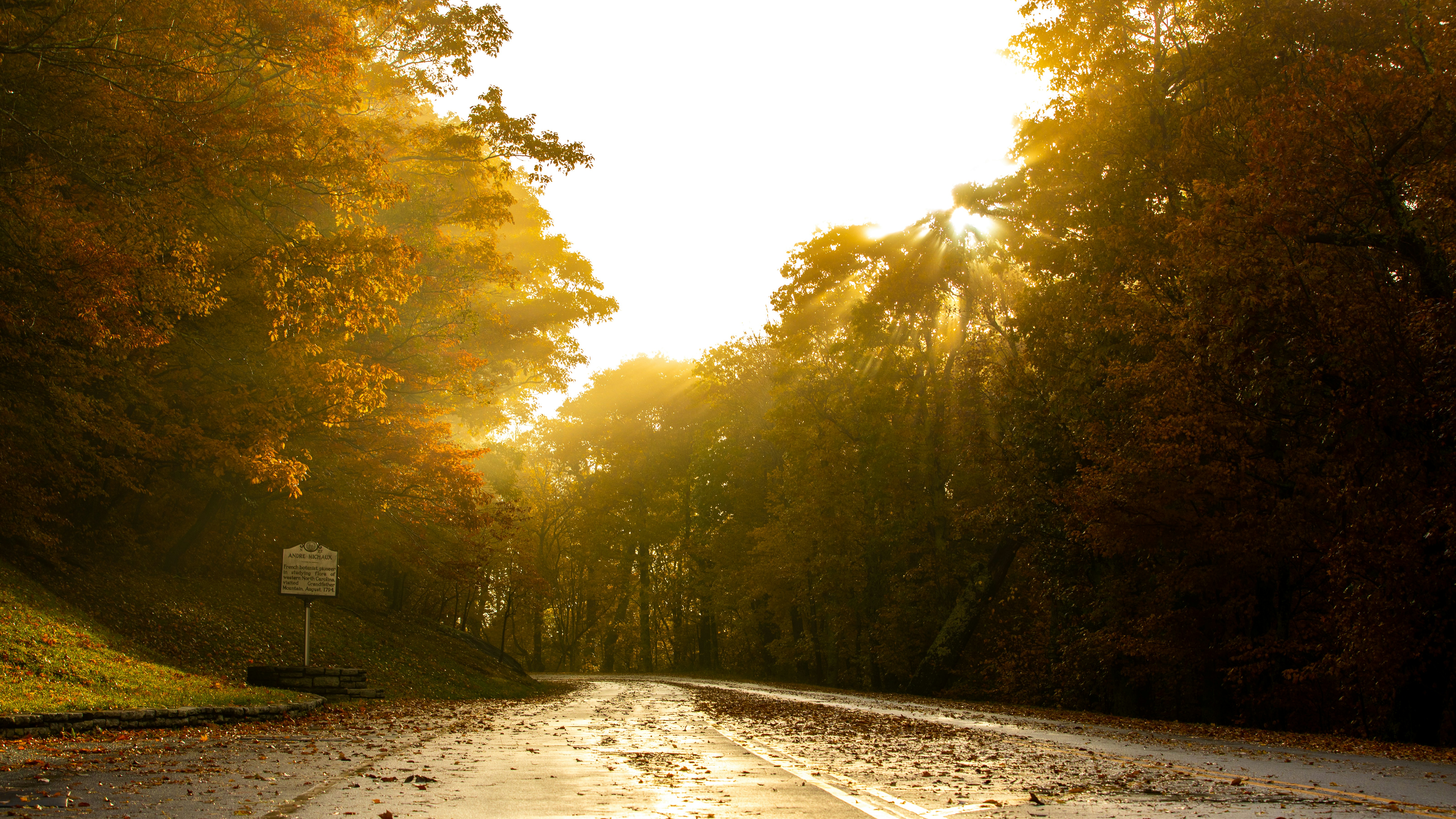 Photography by Jainath Ponnala