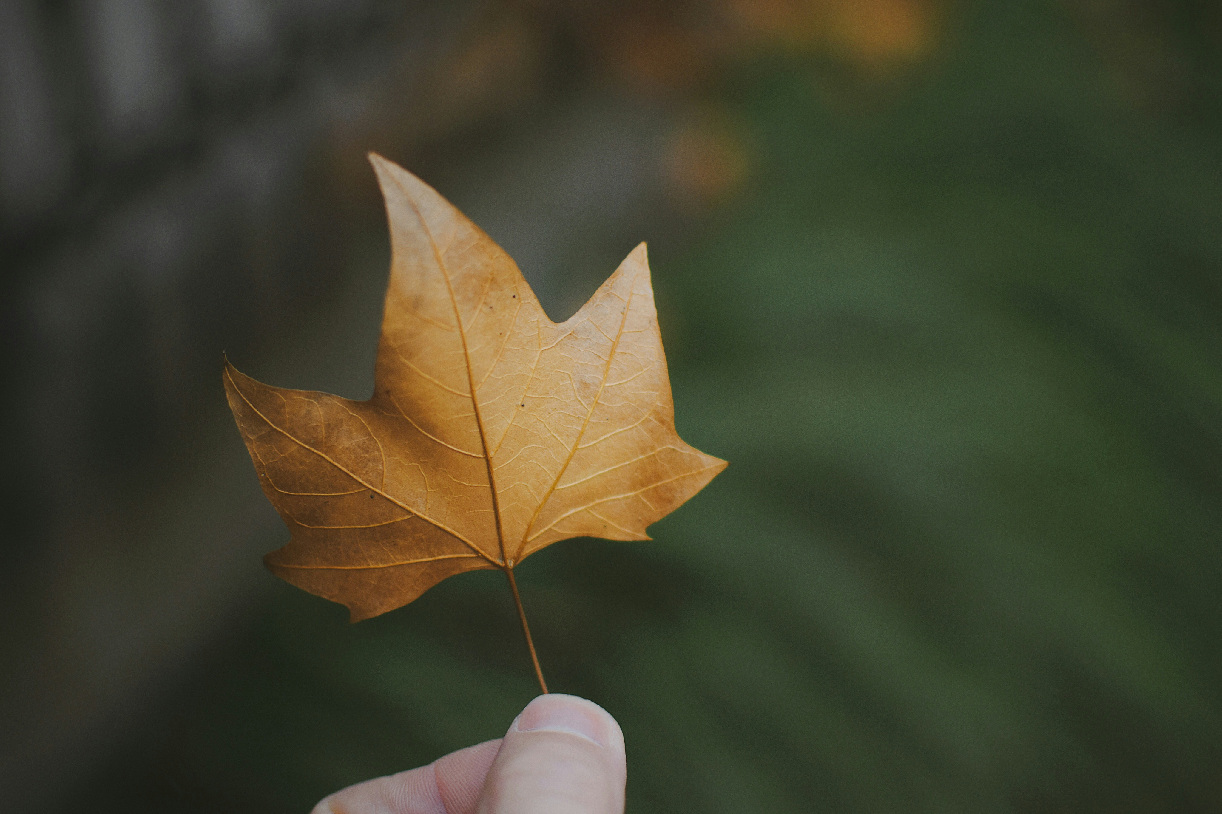 Photo by jizhidexiaohailang