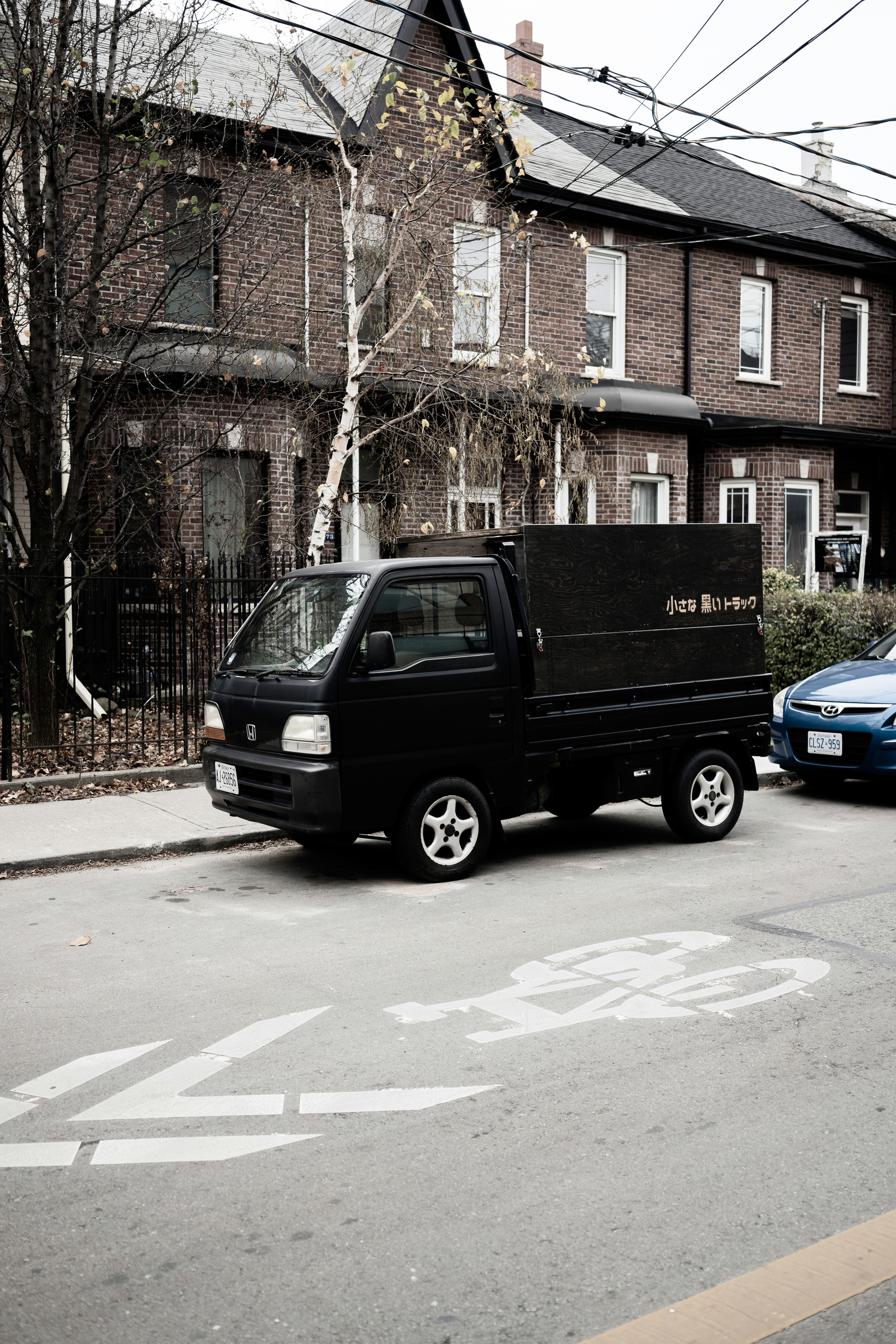 black and blue suv parked beside brown bare tree during daytime