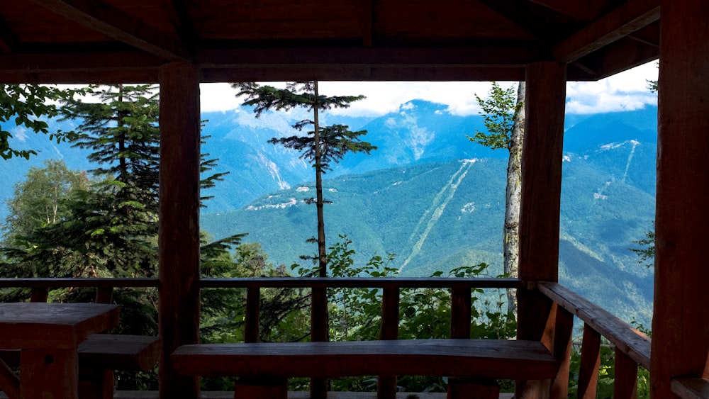 green trees and snow covered mountains during daytime