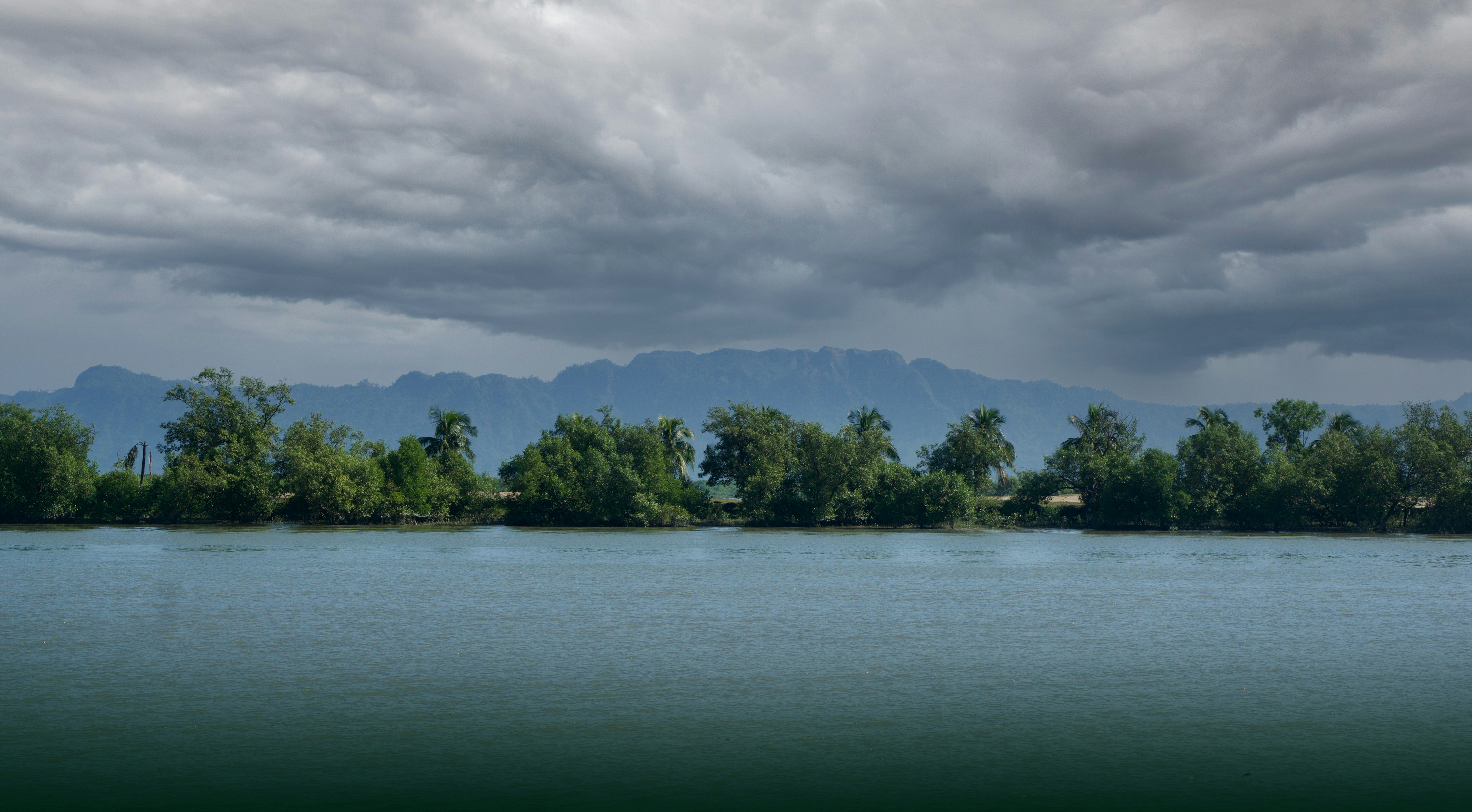 green trees beside body of water under cloudy sky during daytime