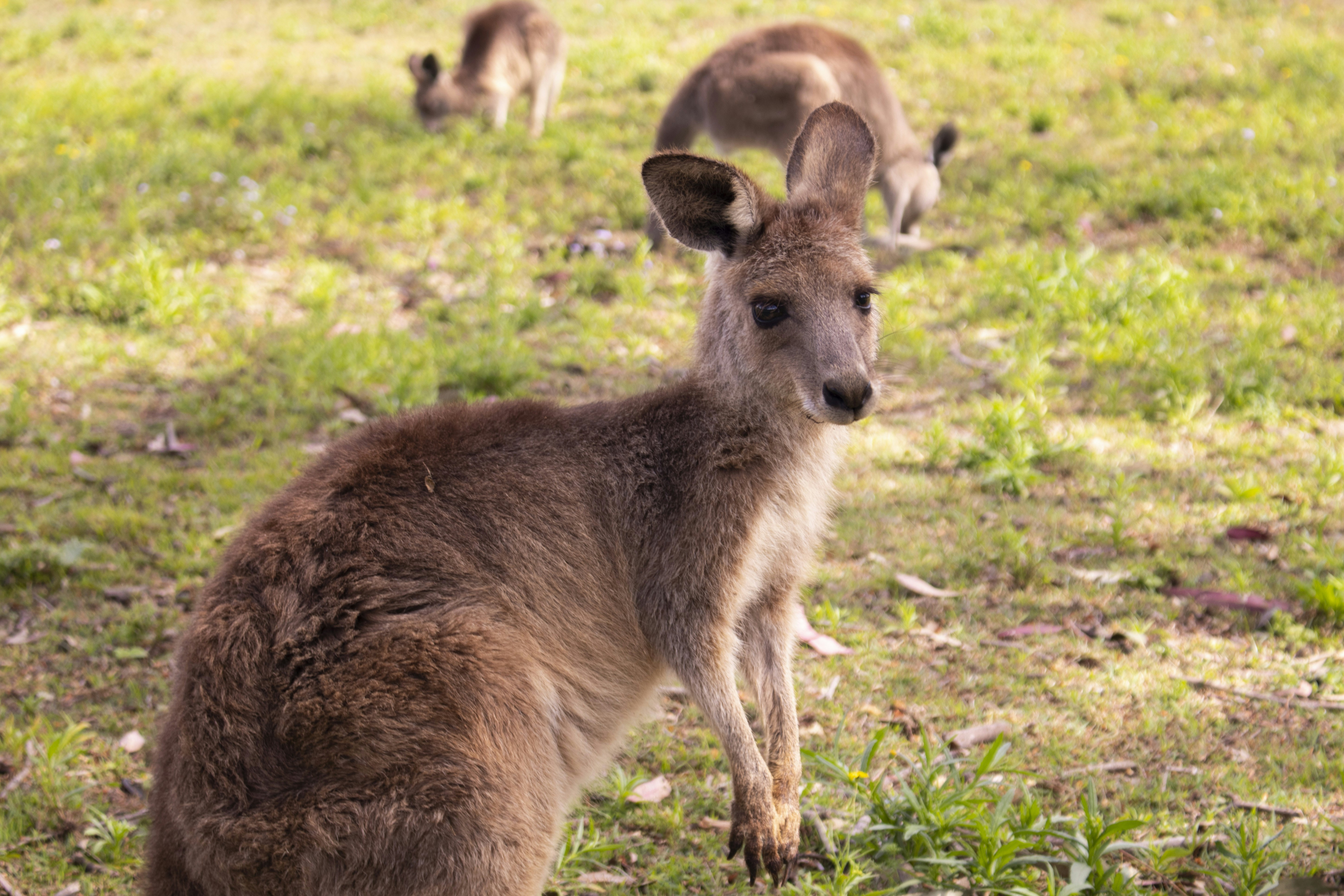 Photo by georgeasousa