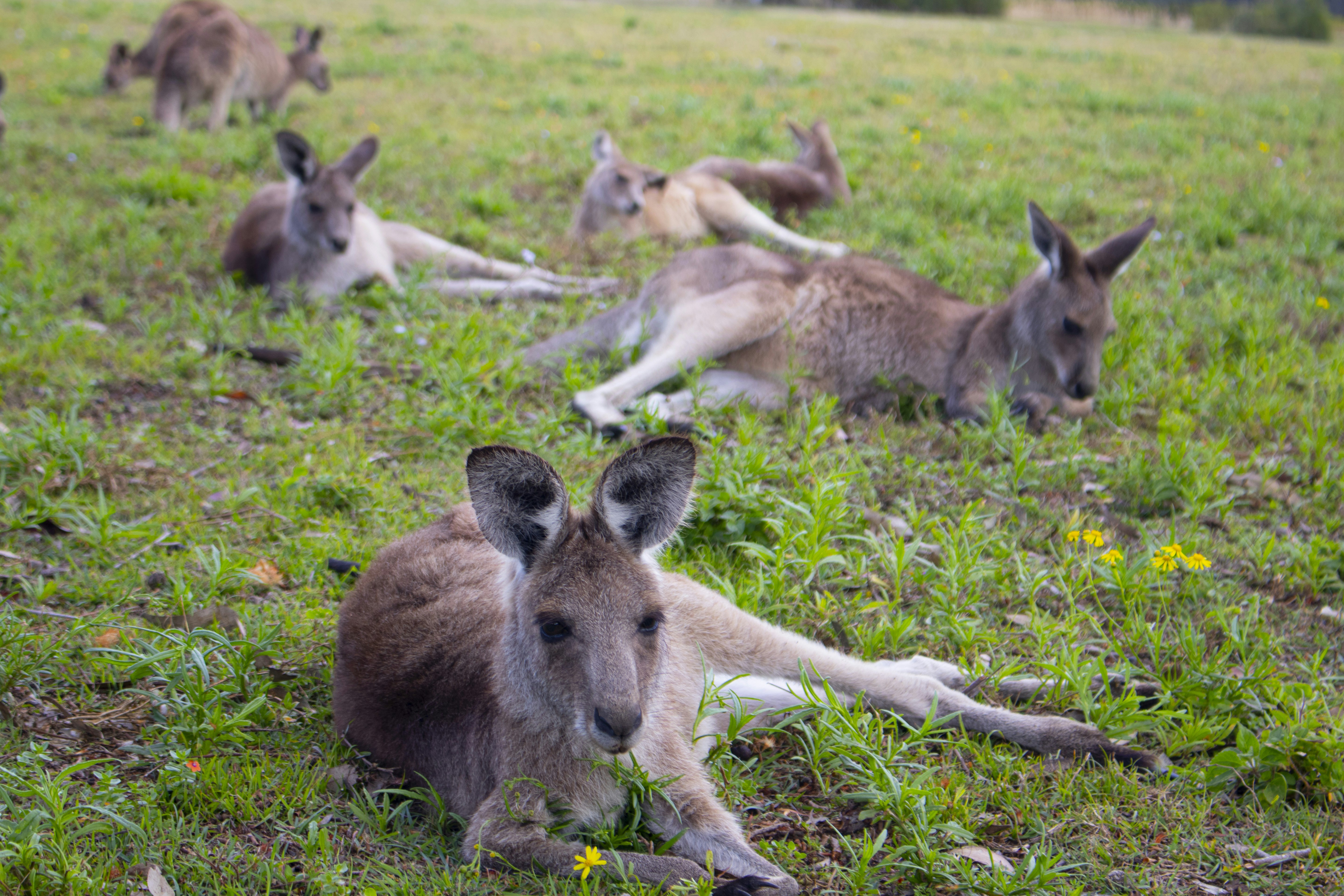 Photo by georgeasousa