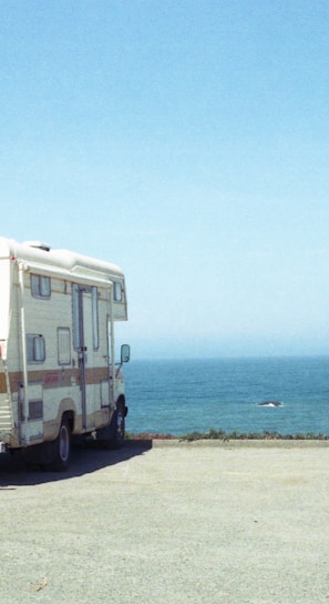 white and blue van on beach during daytime