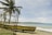 A yellow boat with red lettering sits on a sandy beach next to a wire fence. Palm trees sway gently in the background, with the ocean stretching to the horizon under a partly cloudy sky.