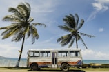 white and blue bus near palm tree under blue sky during daytime