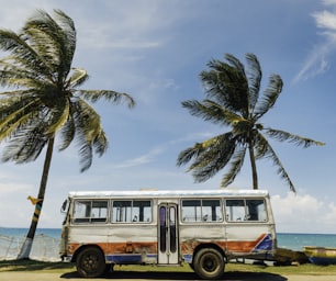 white and blue bus near palm tree under blue sky during daytime