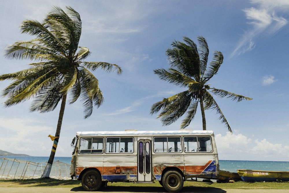 Weißer und blauer Bus in der Nähe von Palme unter blauem Himmel tagsüber