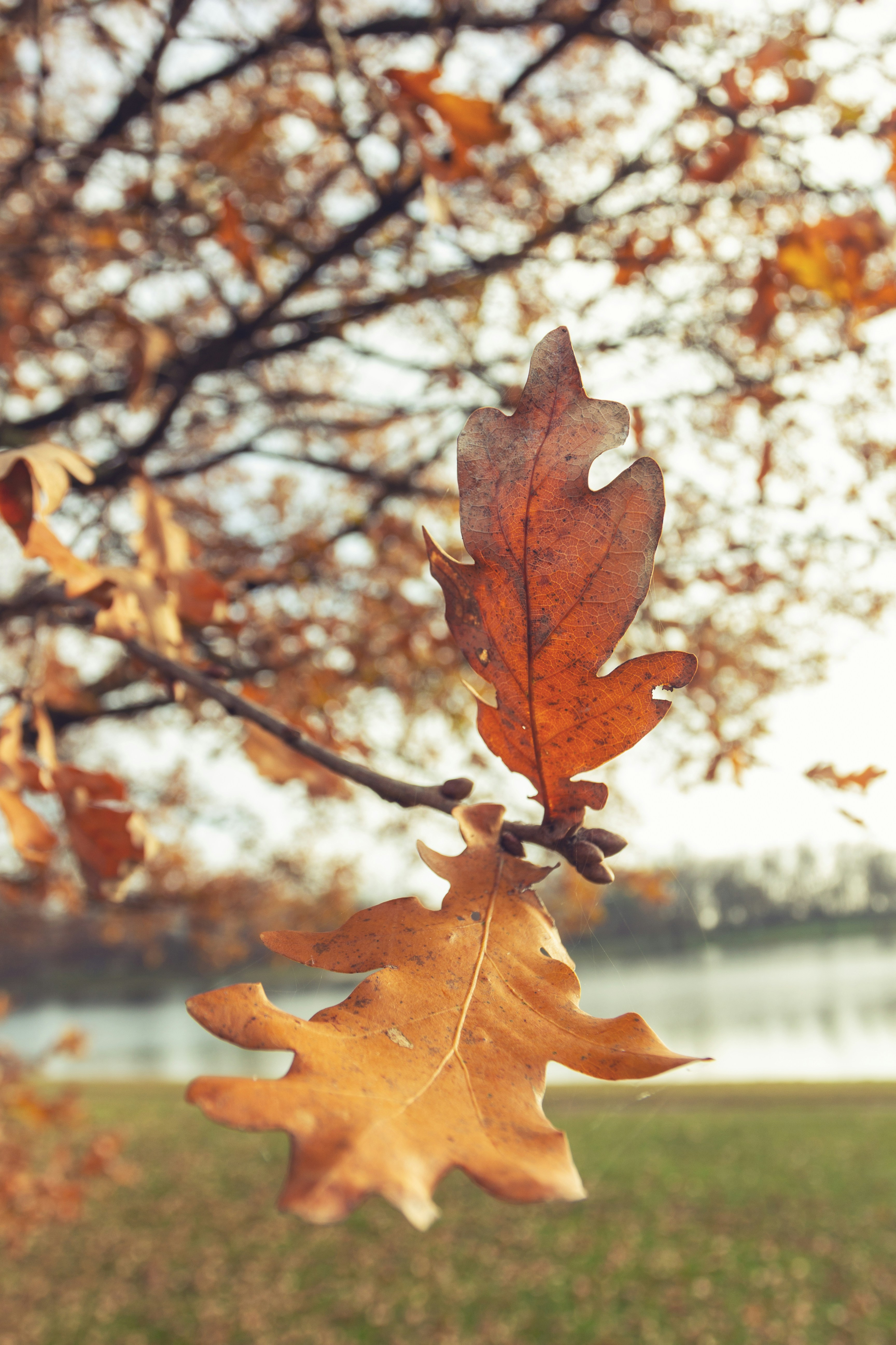 Photo by shutter_speed_