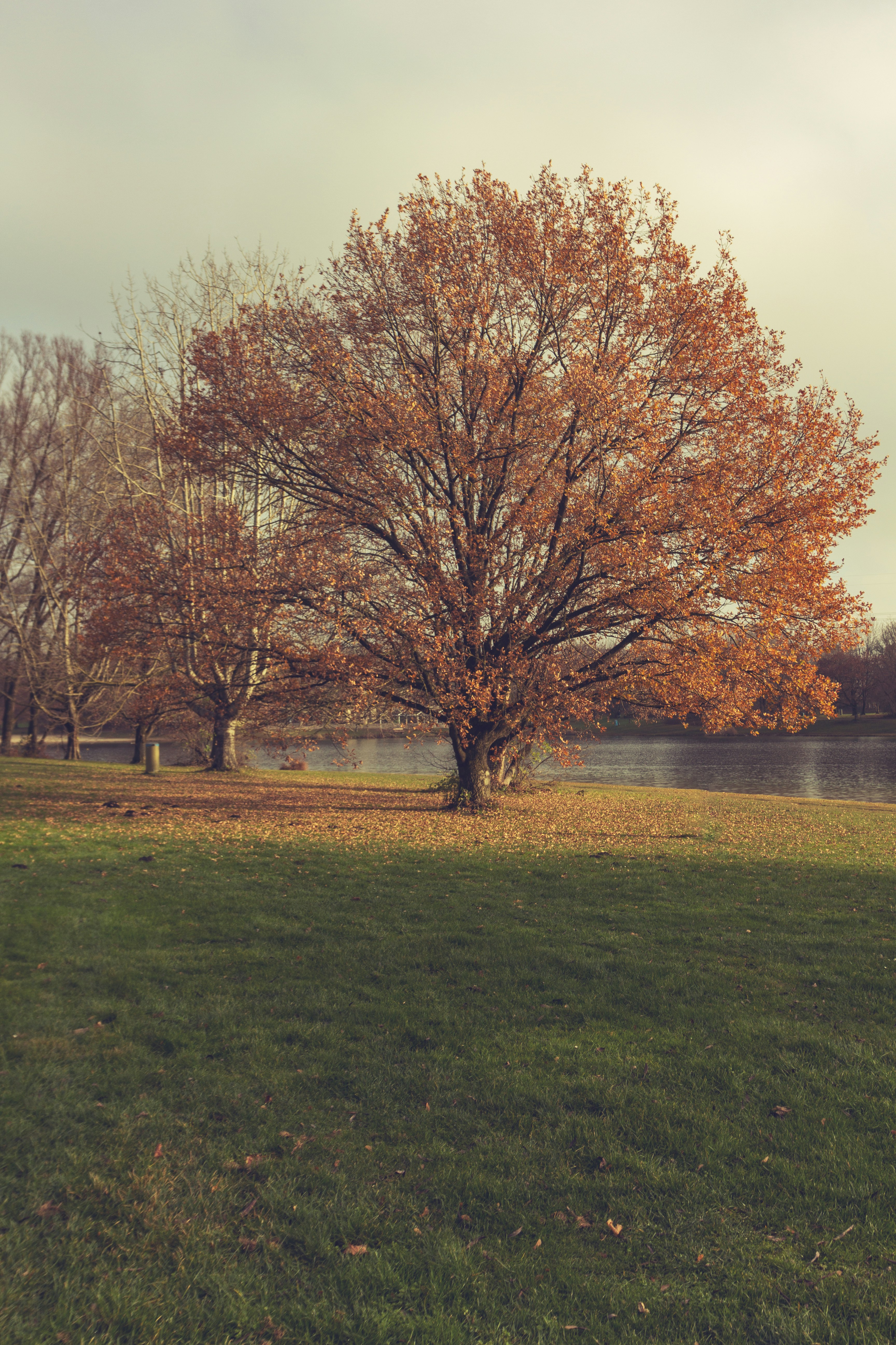 Photo by shutter_speed_