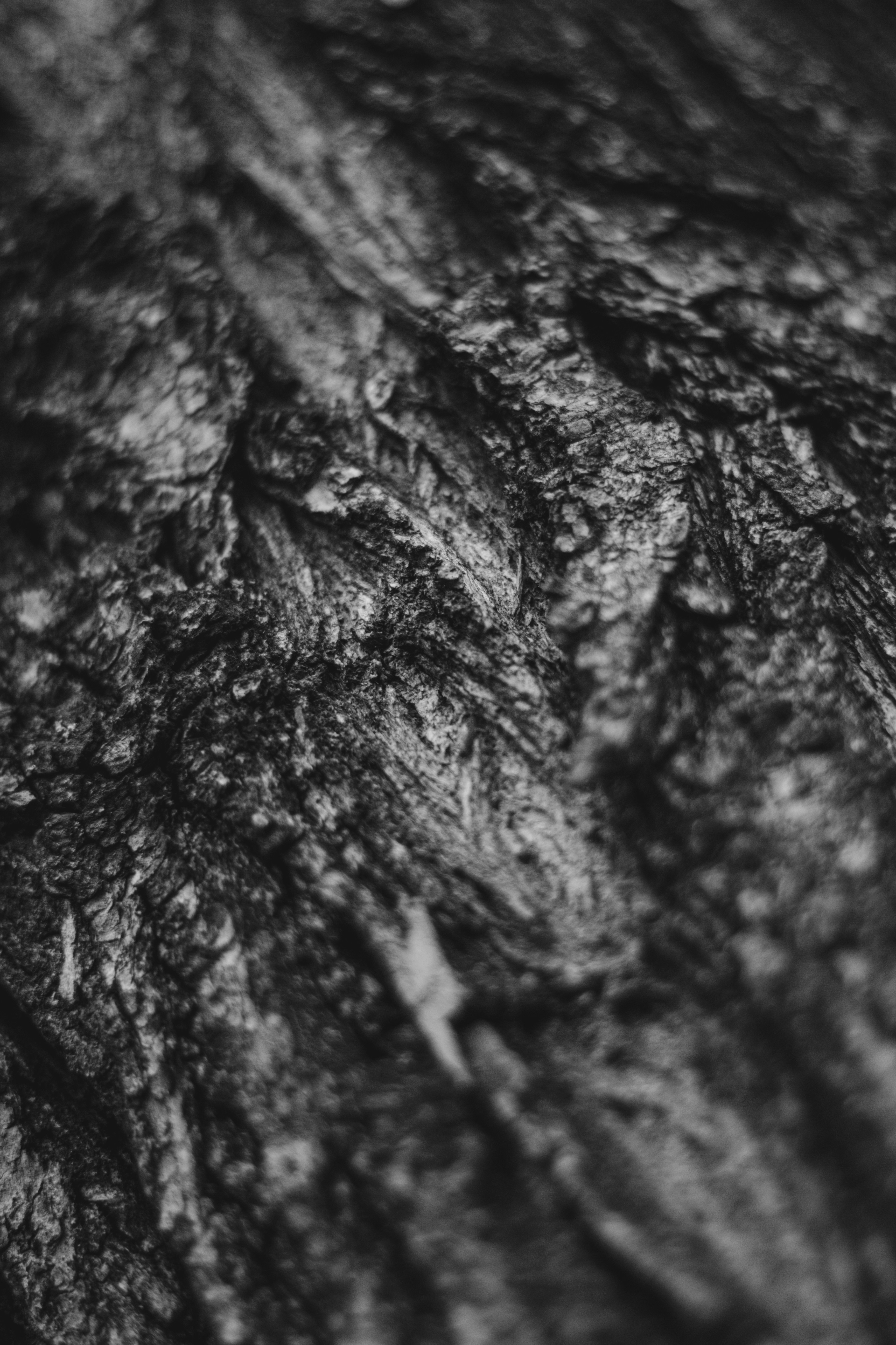 Photo by edwardphoto