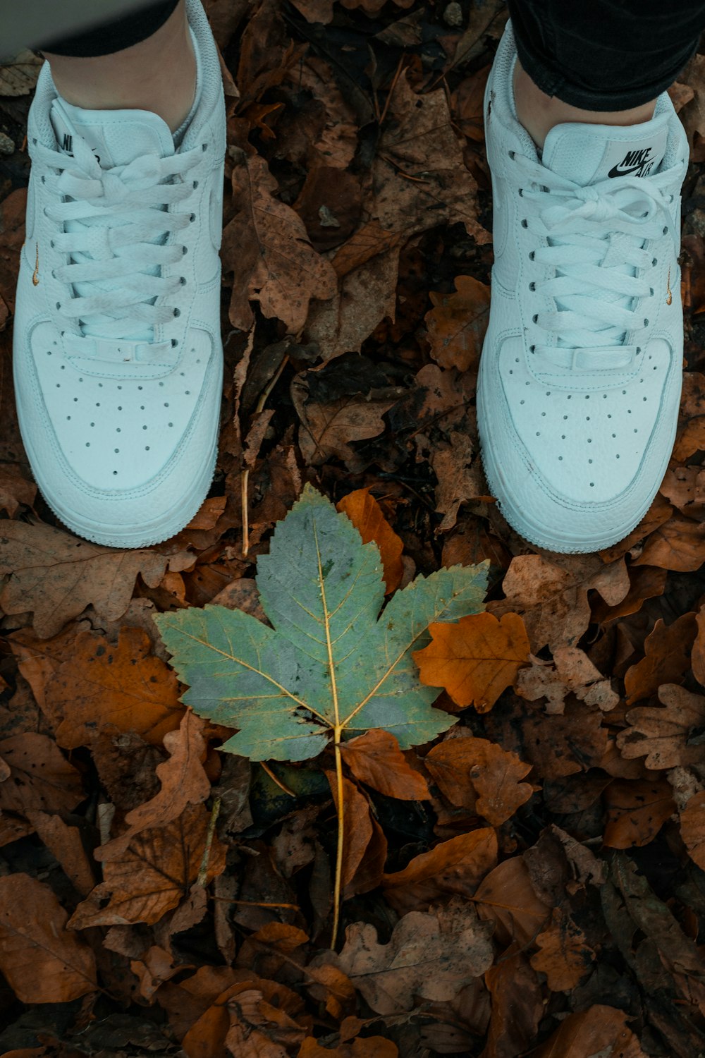 a person's feet standing next to a leaf on the ground