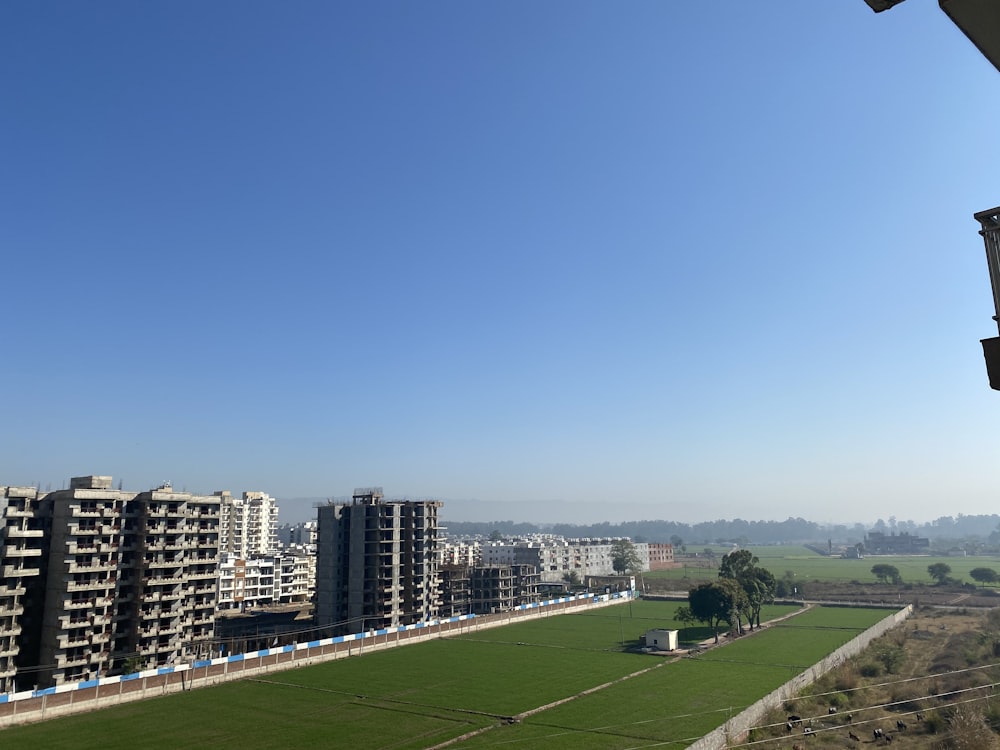 Grünes Grasfeld in der Nähe von Stadtgebäuden unter blauem Himmel tagsüber