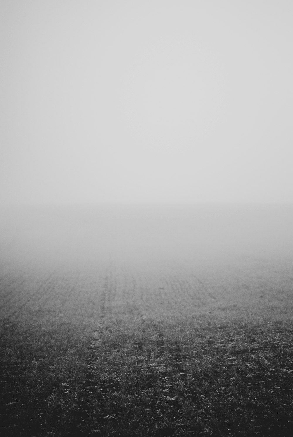 grayscale photo of foggy field