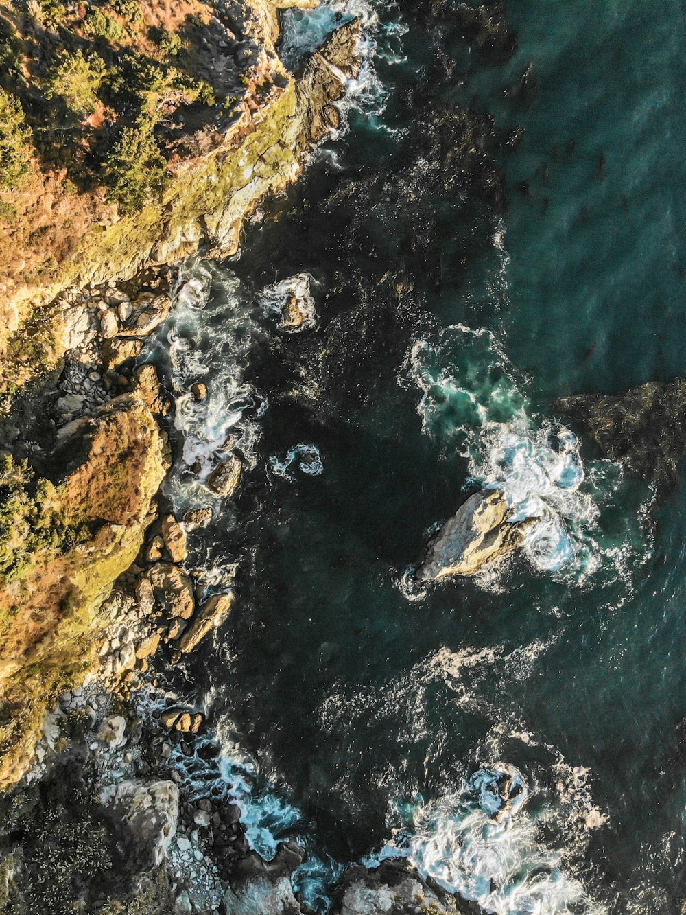 aerial view of brown and green rocky shore