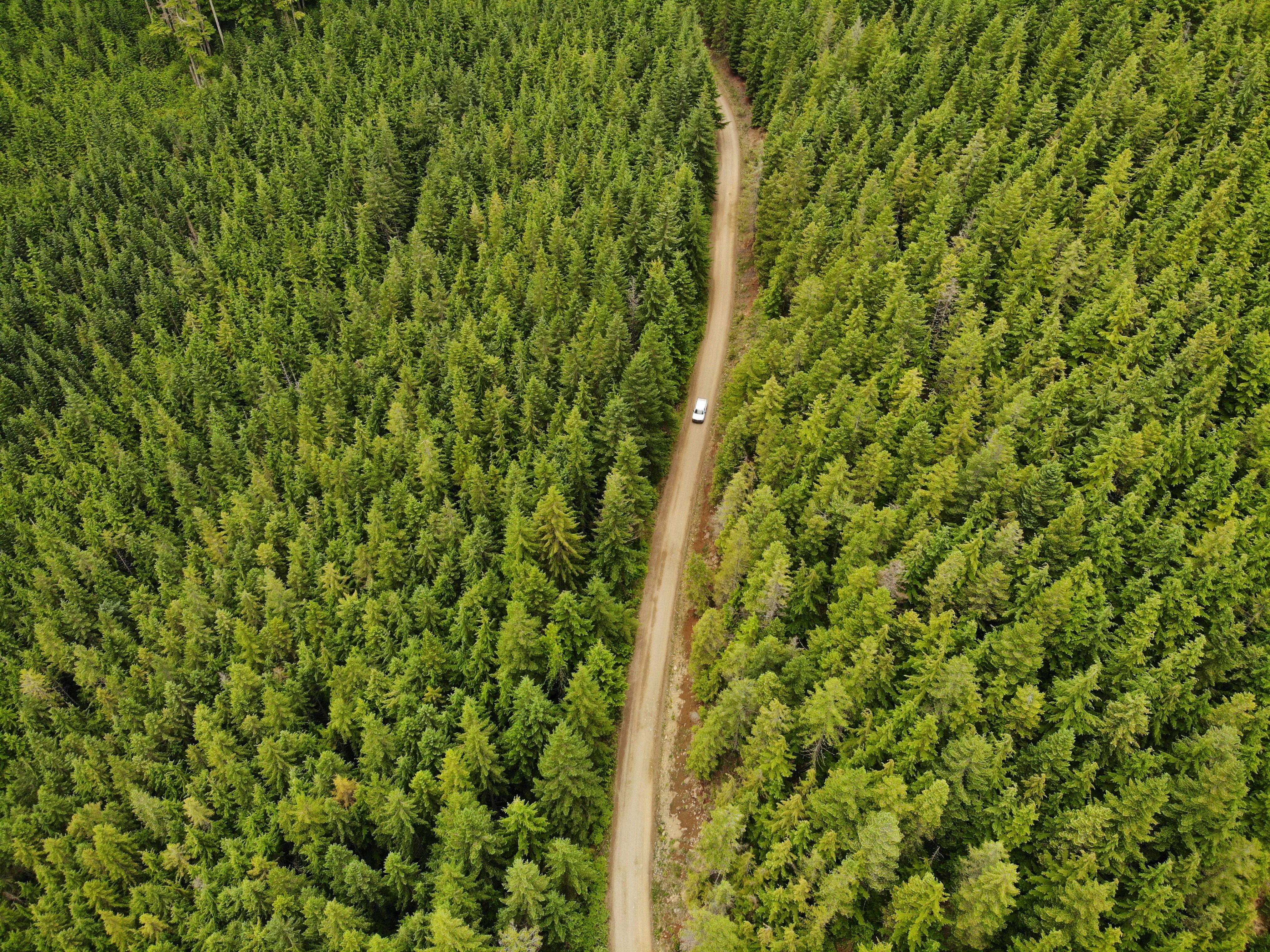 Igrzyska Olimpijskie - najważniejsze wydarzenie sportowe