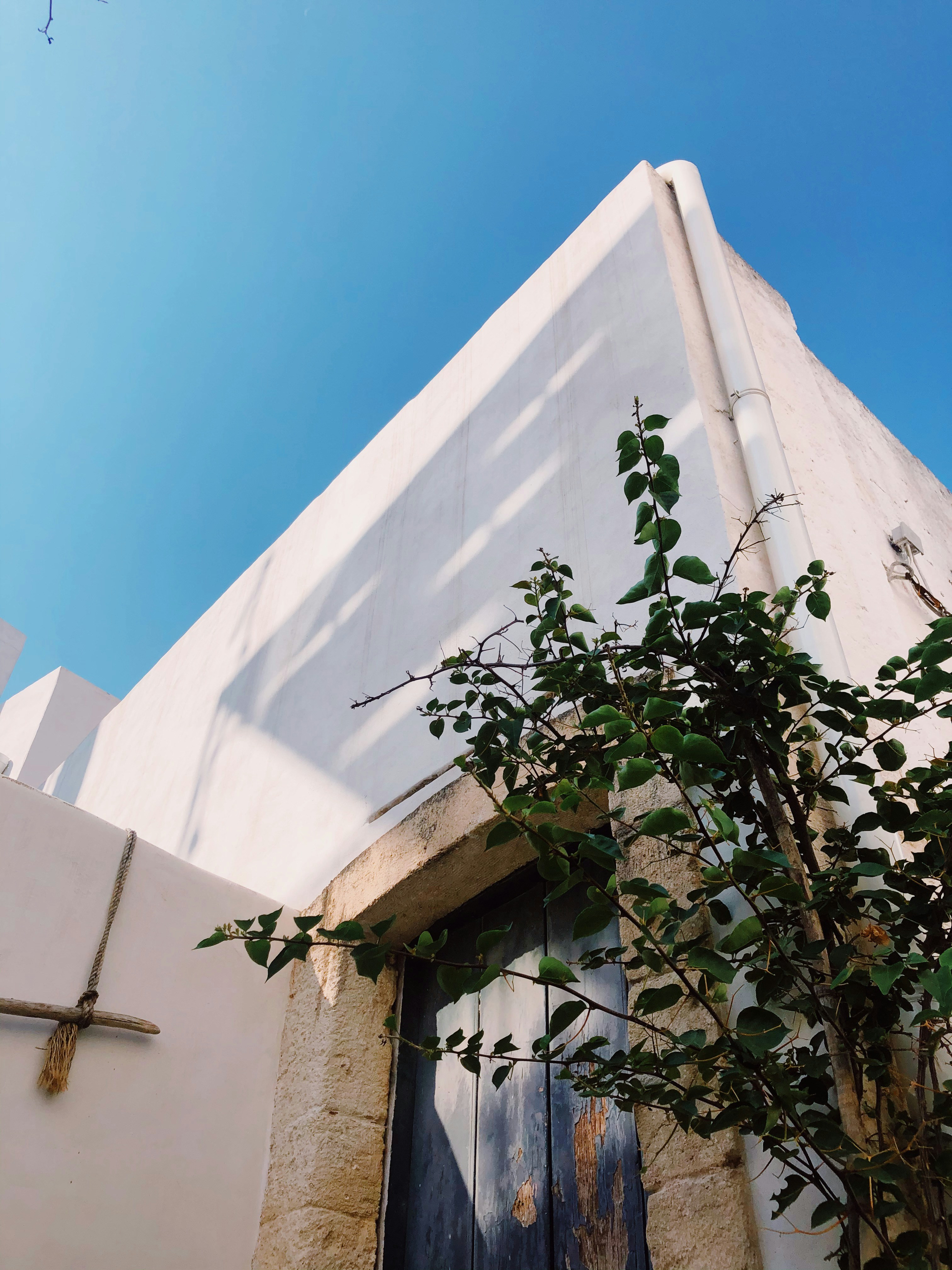 Photo by paulinelacrx