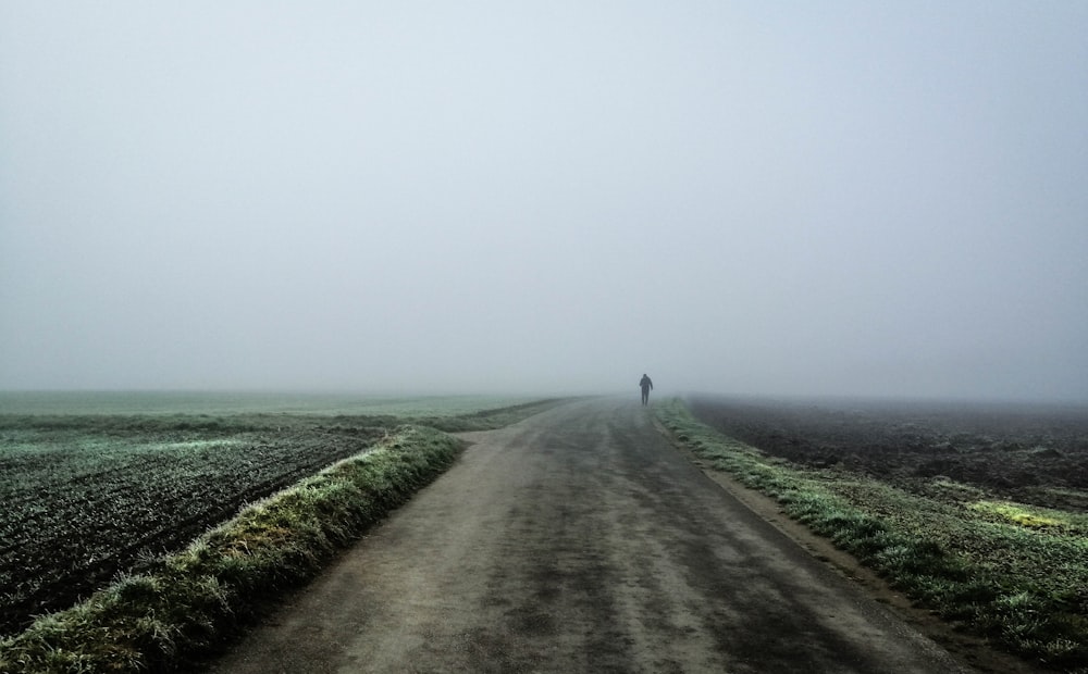 camino de tierra gris entre el campo de hierba verde bajo el cielo gris durante el día