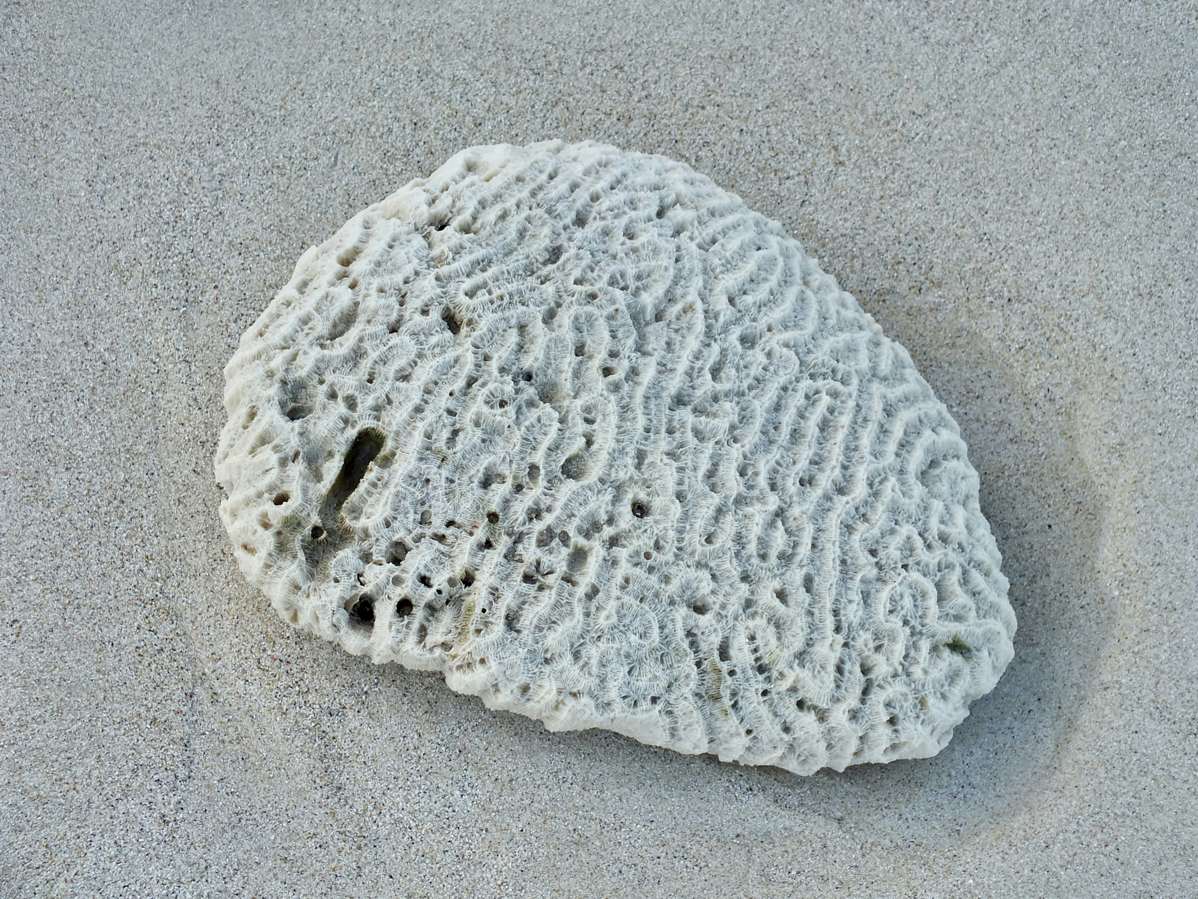 🤯 뇌가 뻥 뚫리는 마법! 과학이 밝혀낸 스트레스 해소 치트키 5🗝️