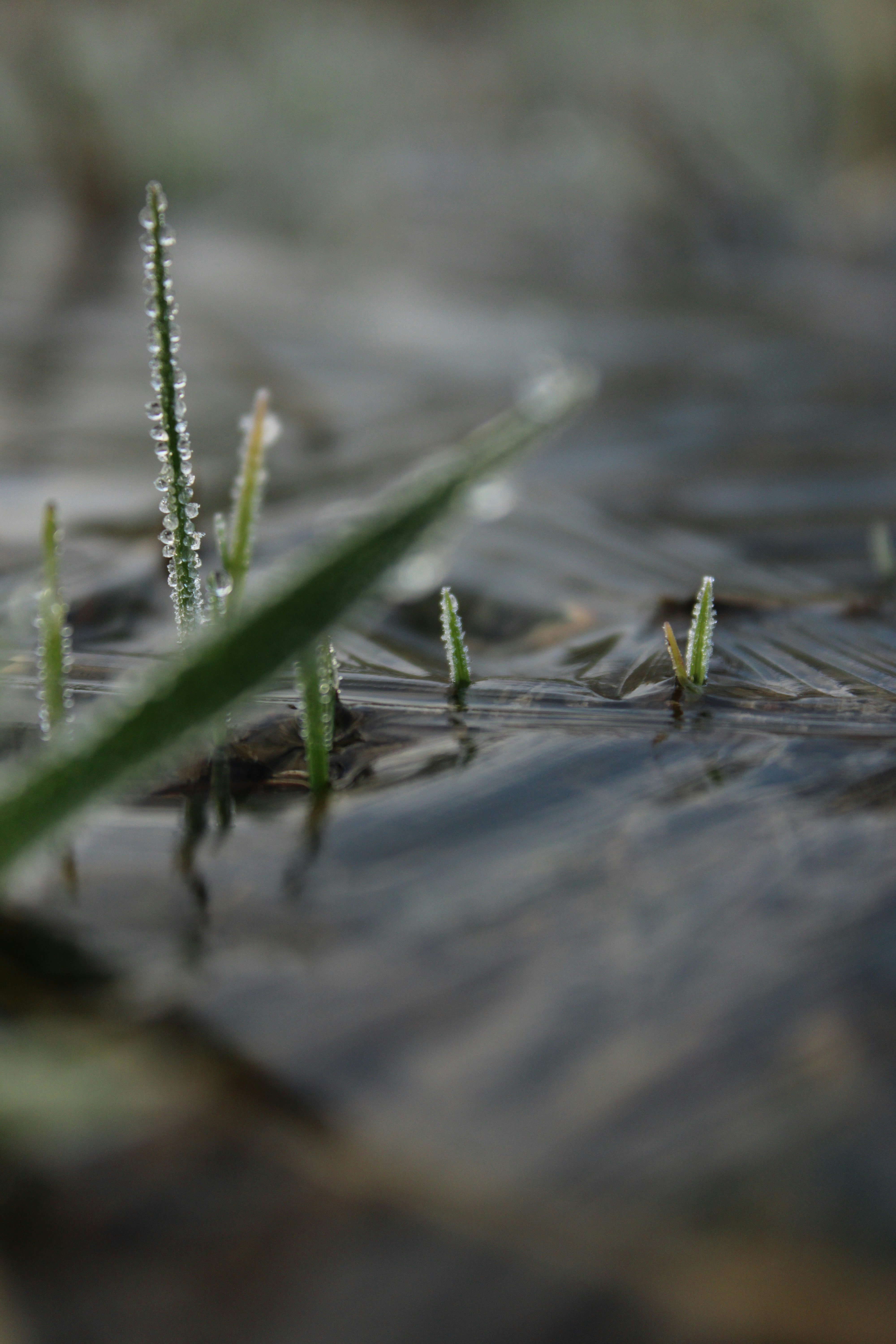 Photo by celinalangex