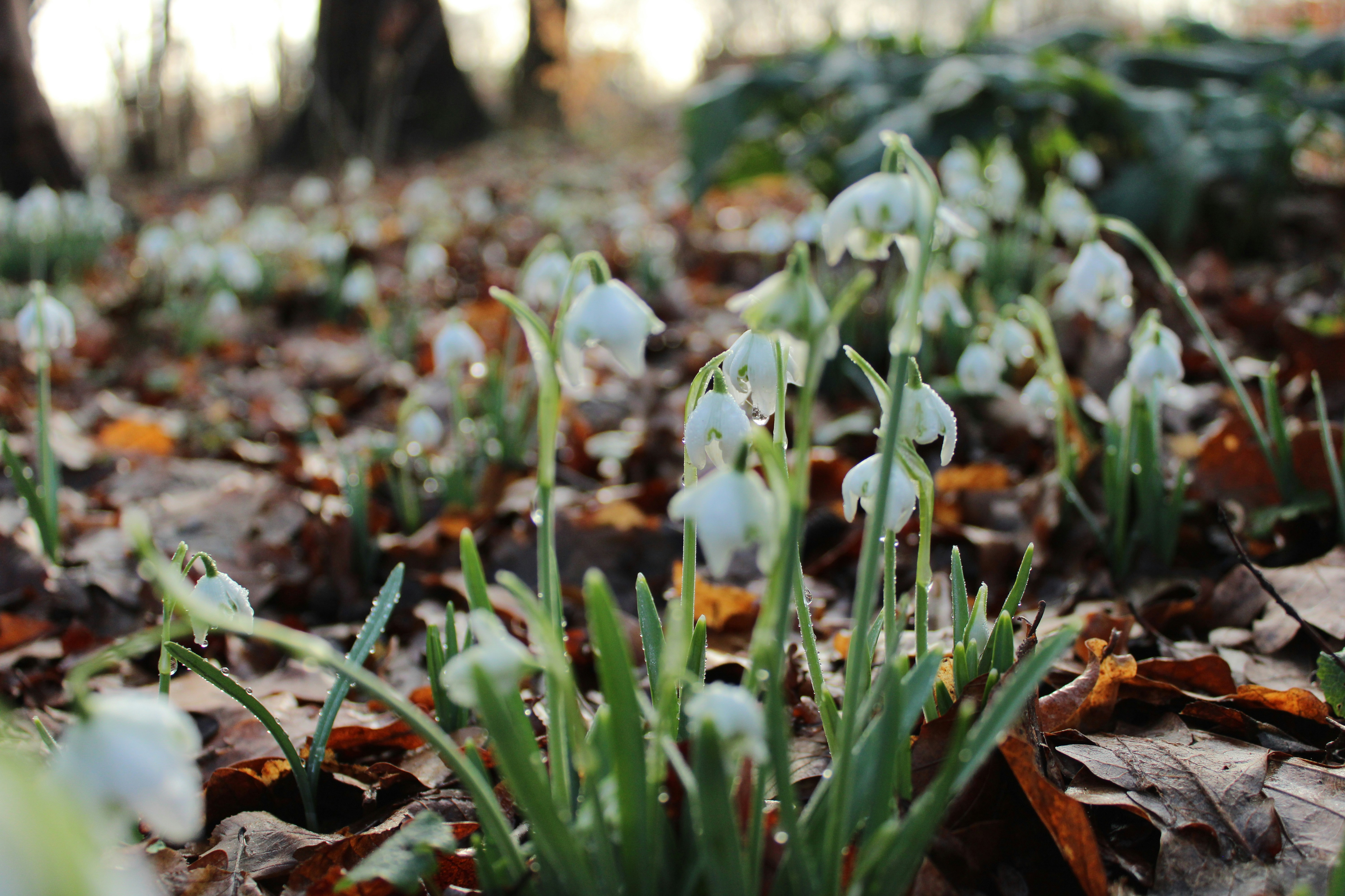 Photo by celinalangex