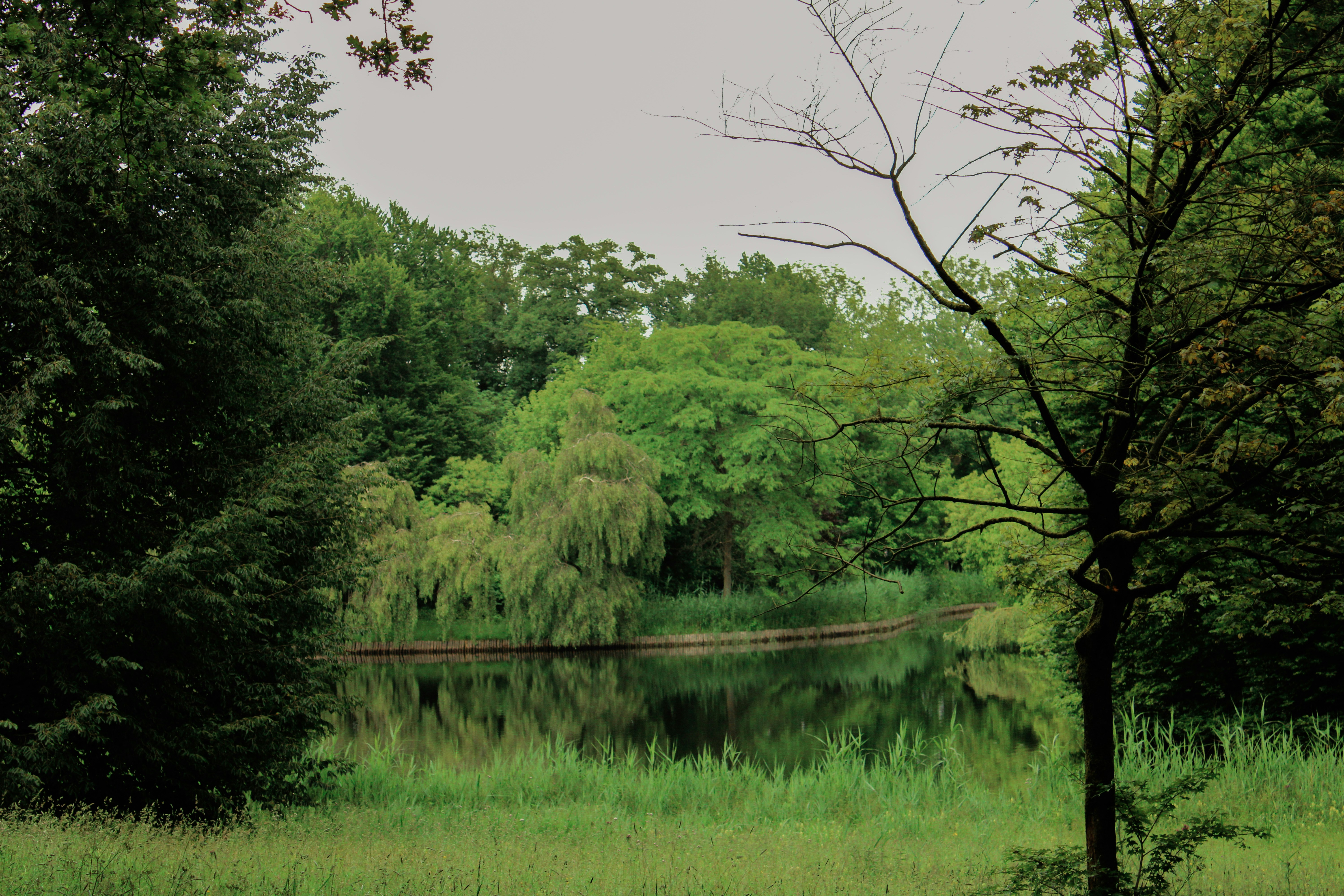 Photo by celinalangex